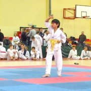 MiÄdzywojewĂłdzkie Mistrzostwa MĹodzikĂłw w Taekwondo Olimpijskim 2011