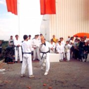 Krzysztof Frankiewicz technika Han Sonnal Ohig